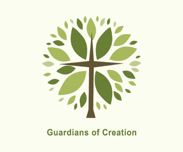 Net-Zero and the Catholic Church: ‘Guardians of Creation’ releases guidance