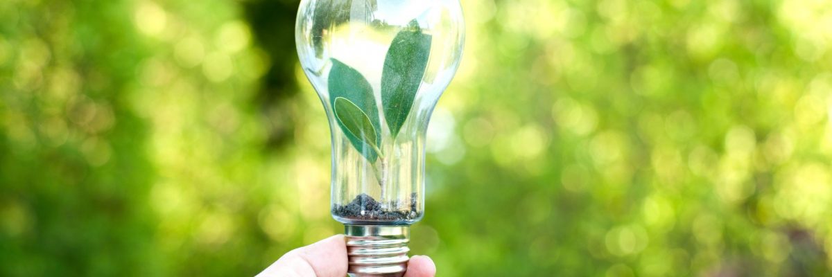 Person holding a lightbulb with a small plant growing inside