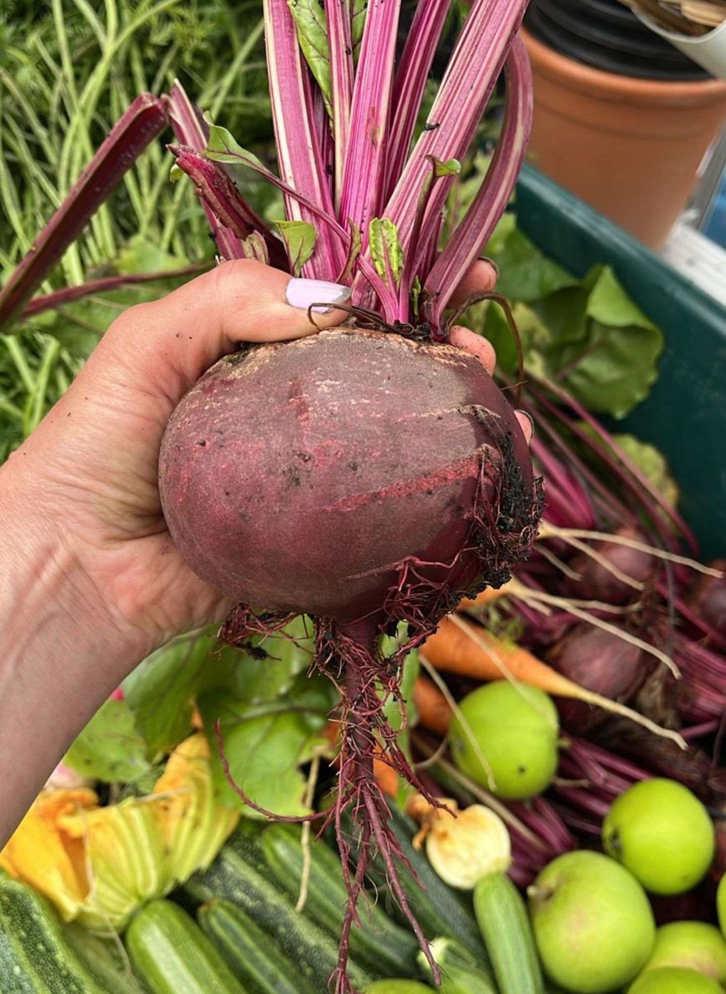 A woman shows recent vegetable produce