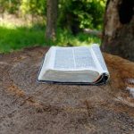 Using nature to support praying with scripture