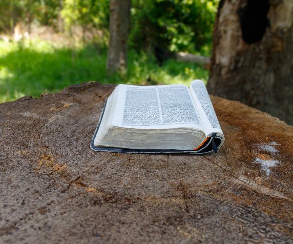 Using nature to support praying with scripture