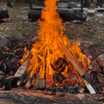 Cooking around the Campfire