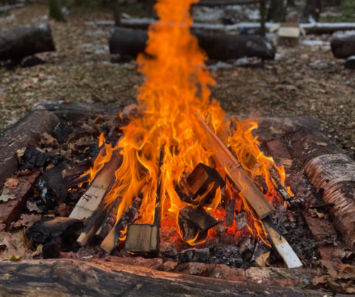 Cooking around the Campfire