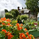 Wellbeing in Nature Course
