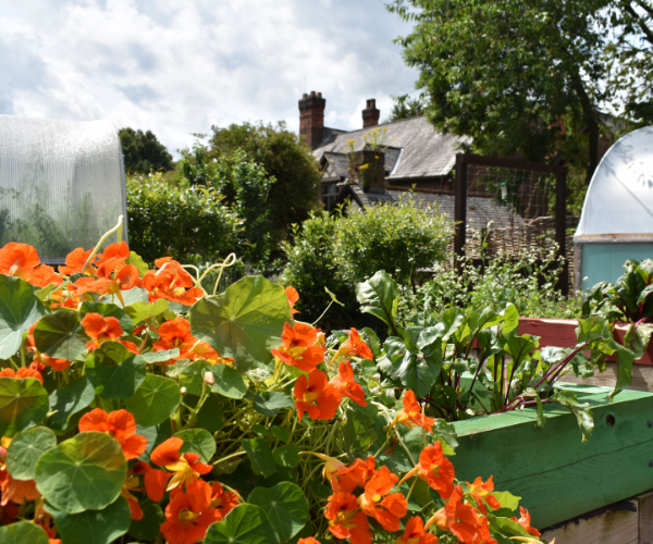 Wellbeing in Nature Course