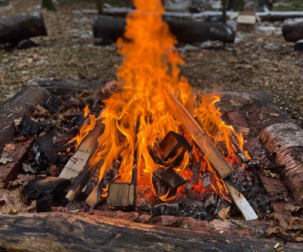 Forest School Level 3 Training - Eight-Day Course