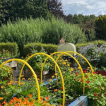 Seasonal Wellbeing Sessions