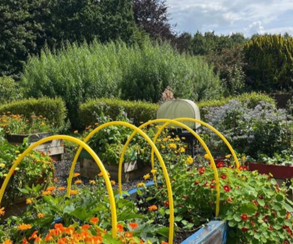 Seasonal Wellbeing Sessions